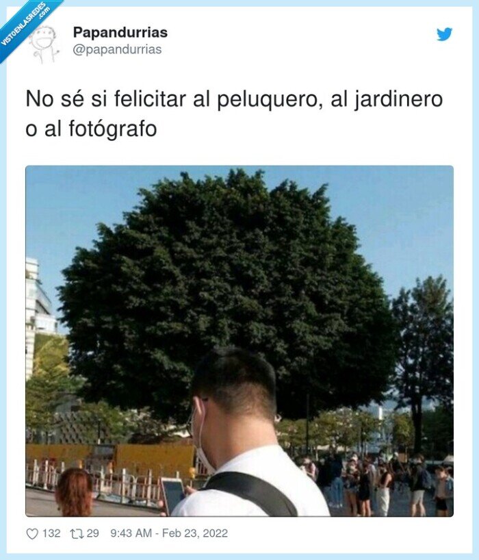 peluquero,fotógrafo,felicitar,jardinero