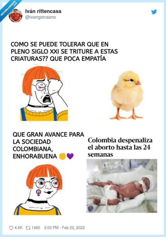 aborto,pollito