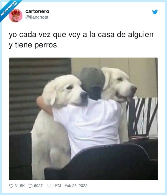 alguien,perros,abrazar