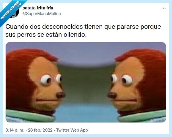 perros,pararse,desconocidos,oler