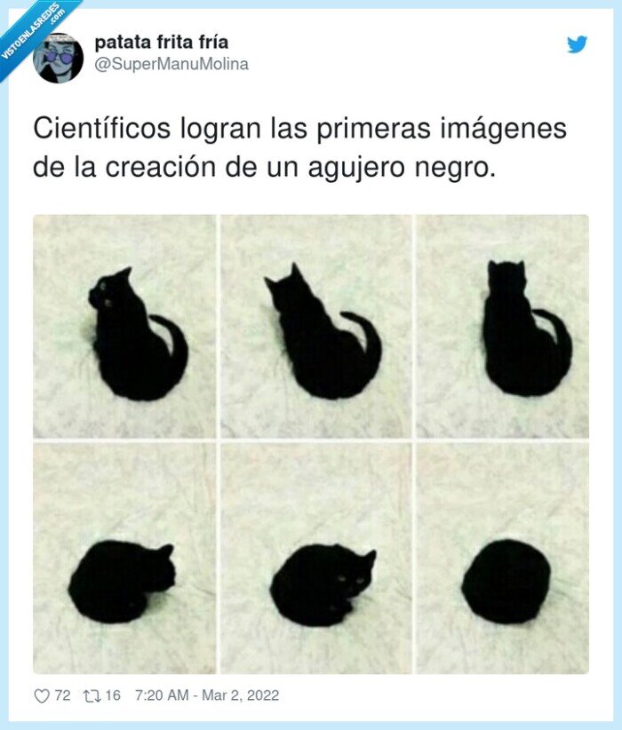 científicos,imágenes,creación,primeras,agujero negro,gato