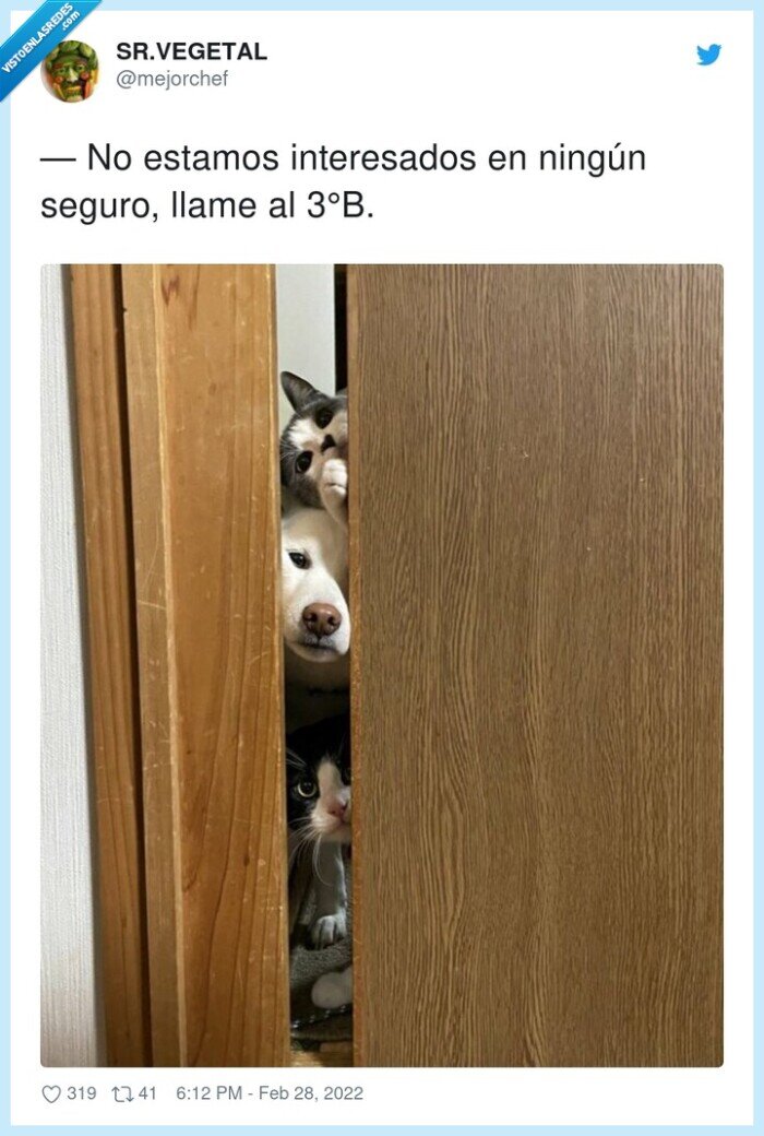 interesados,seguro,llamar