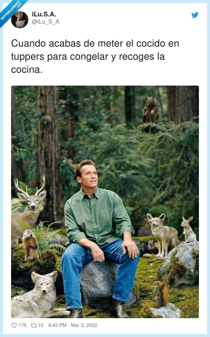 congelar,tuppers,recoger,acabar,cocido,schwarzenegger