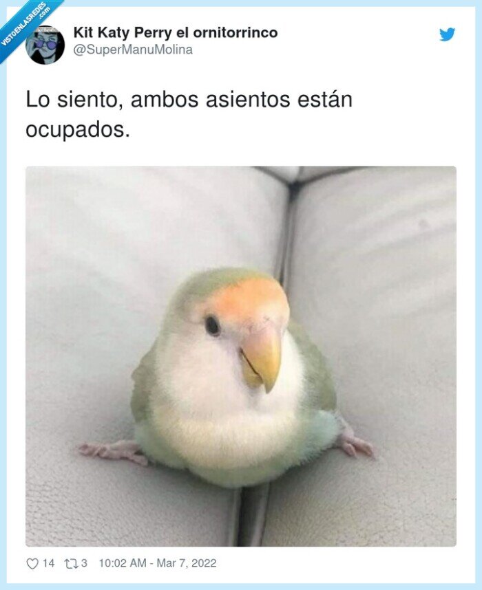 asientos,ocupados,periquito