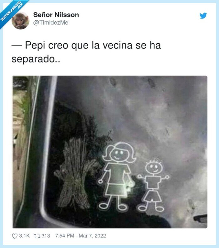 separado,vecina,coche,cristal