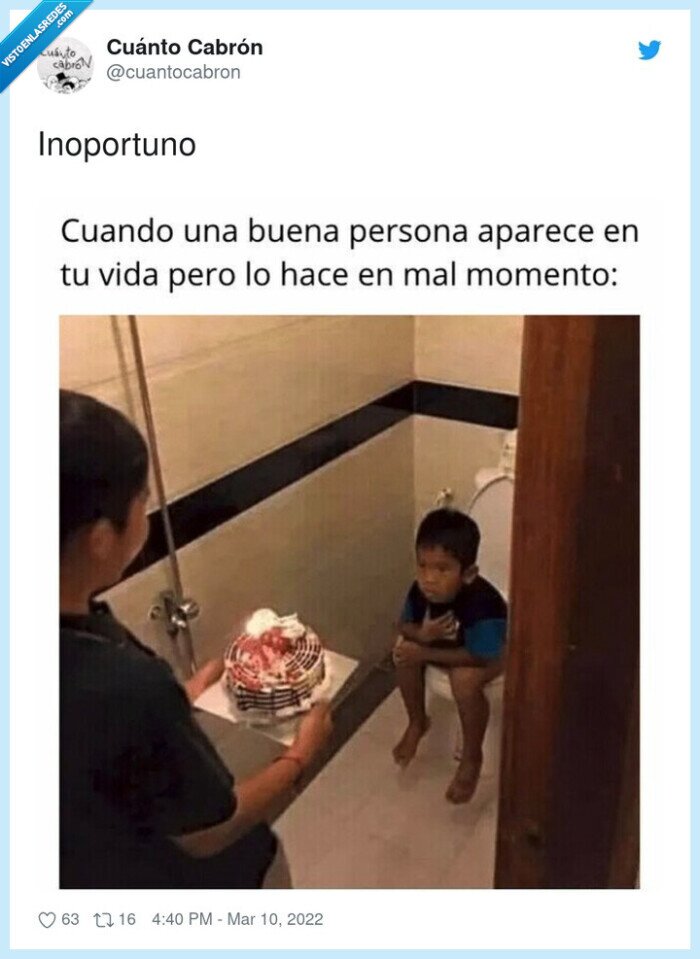 inoportuno,aparecer,vida,tarta,pastel,wc