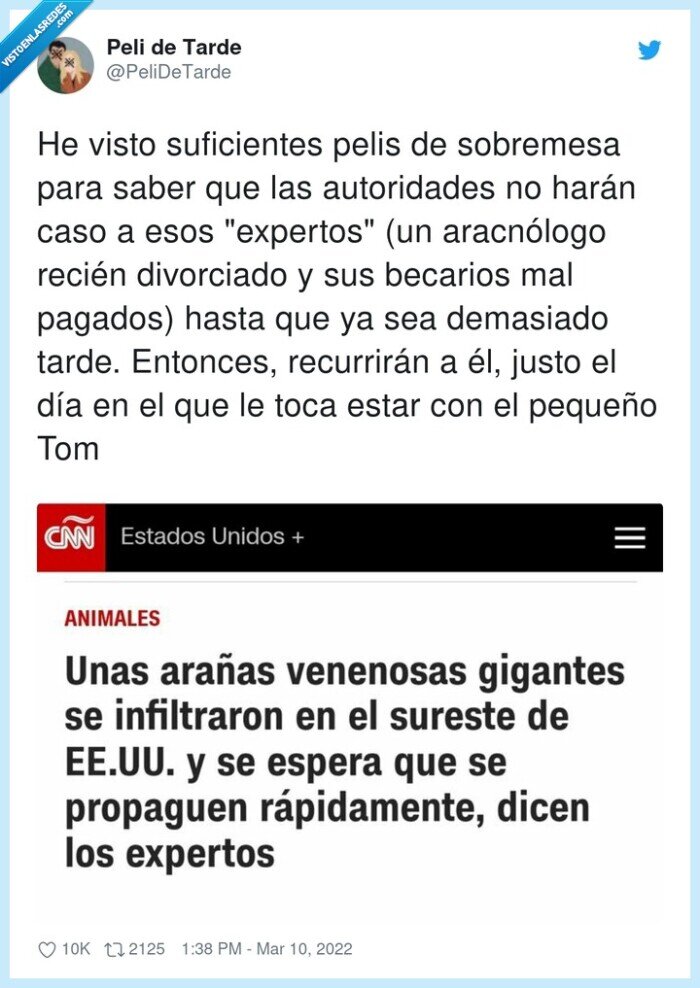 aracnólogo,autoridades,suficientes,divorciado,trama,serie,a3