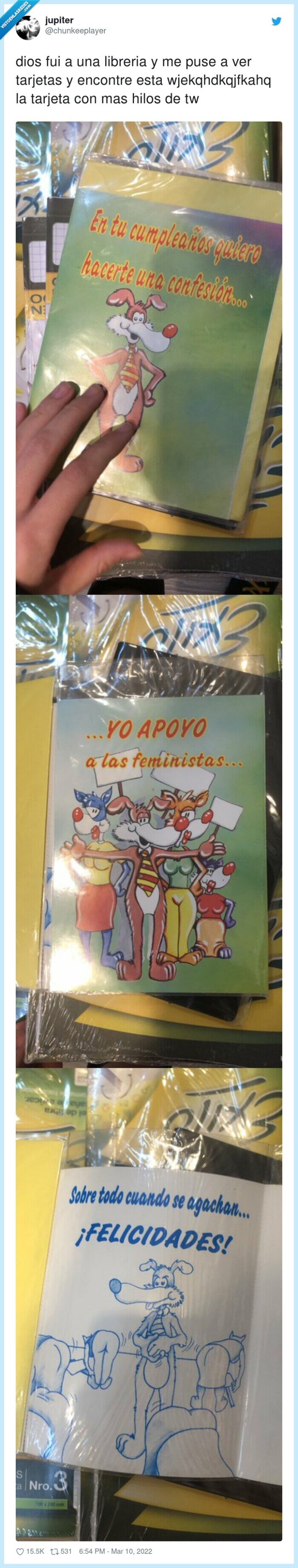 feminismo,tarjetas,libreria,encontrar,tarjeta,hilos