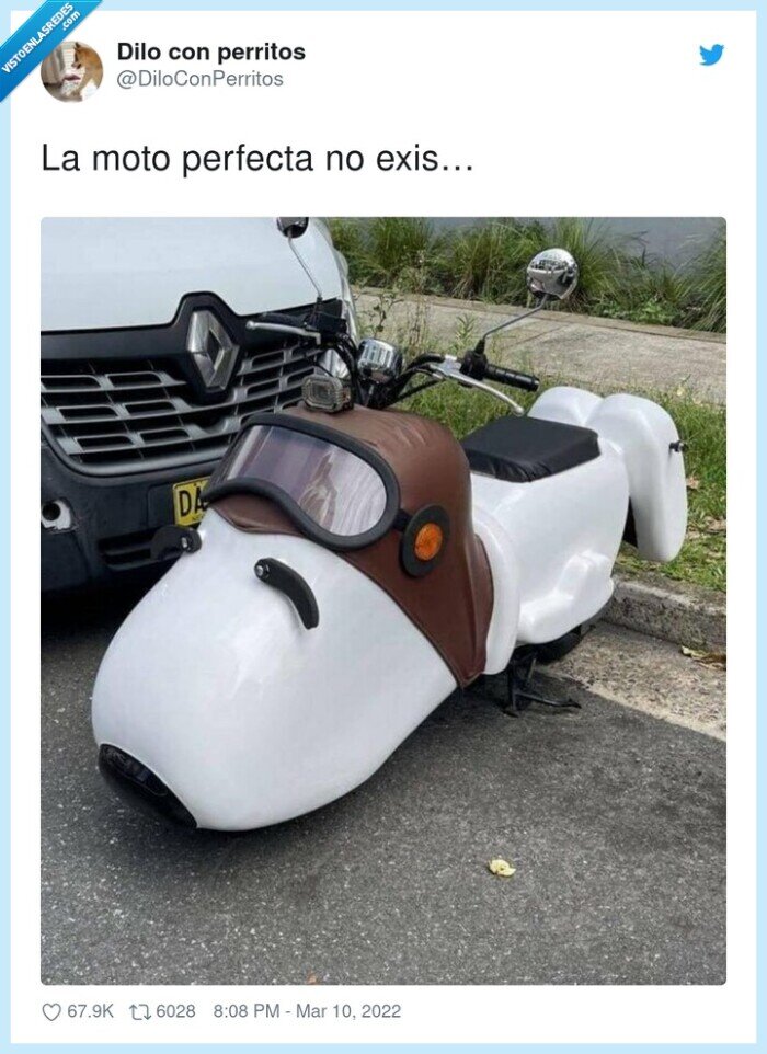 perfecta,snoopy,moto