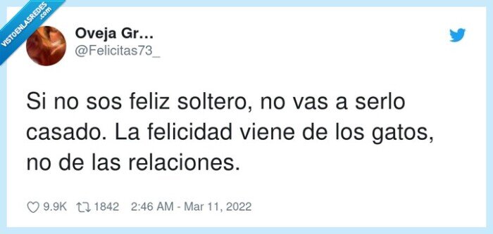 relaciones,felicidad,soltero,casado,gatos,feliz