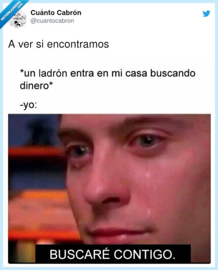 buscar,dinero,ladron,casa