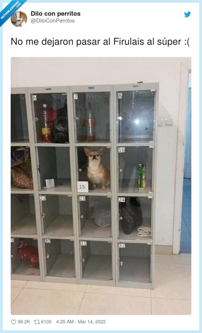 firulais,cajas,s&uacute;per