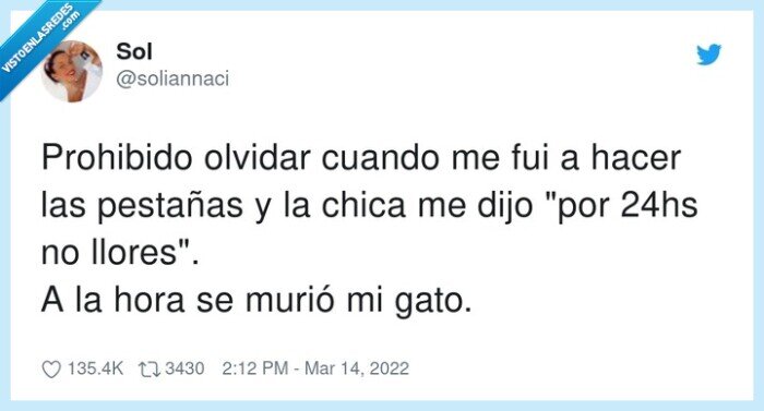 pestañas,prohibido,llorar,gato,morir