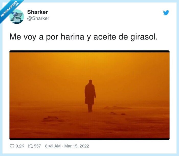 girasol,harina,aceite,calima,tierra,arena