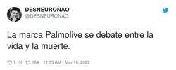 Enlace a Palmo live, por @DESNEURONAO