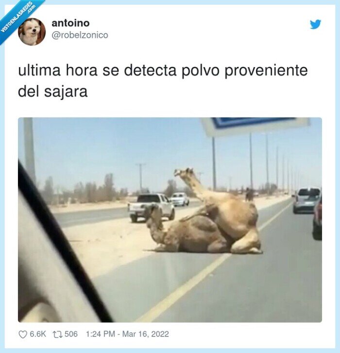 proveniente,detectar,calima,sahara,polvo