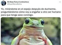 Enlace a ¿Alguien sordo, ciego y sin gusto? por @supermanumolina