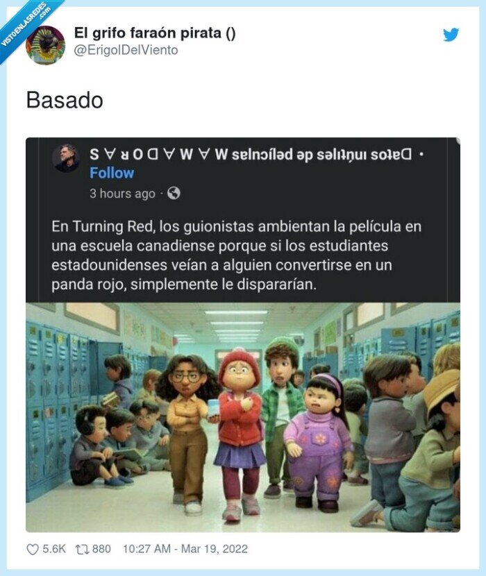 basado,red,panda rojo,canada,usa