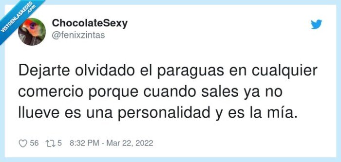 olvidado,paraguas,comercio