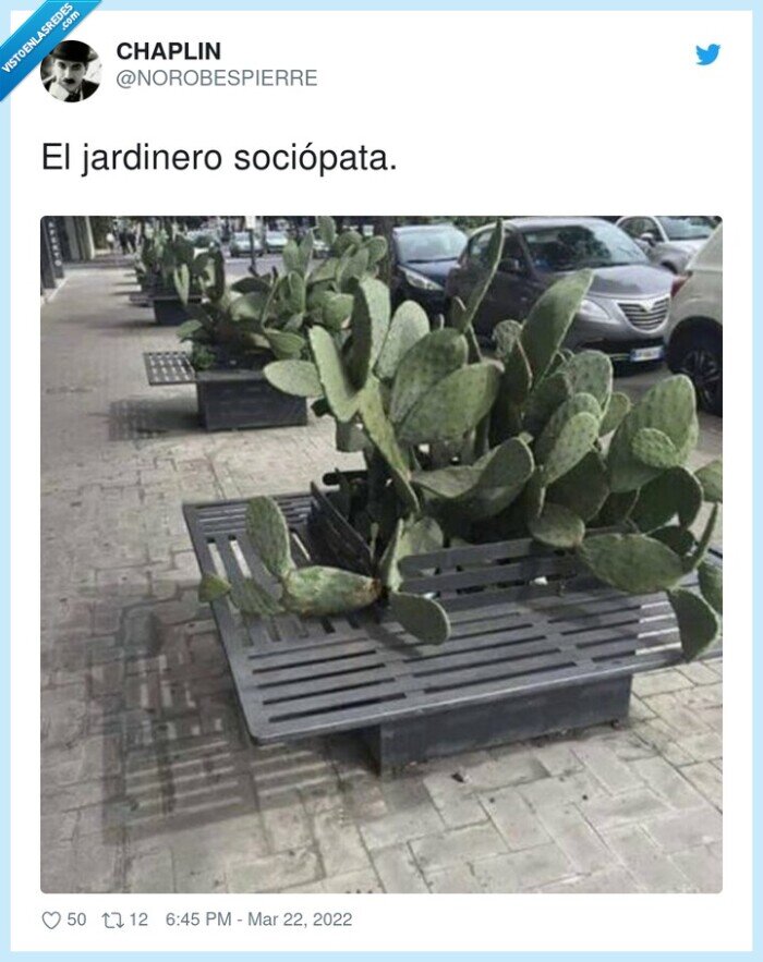 sociópata,jardinero,cactus,bancos