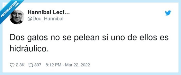 hidráulico,pelea,gatos