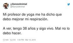 Enlace a La verdad es que tienes razón, por @GonzoAnimal