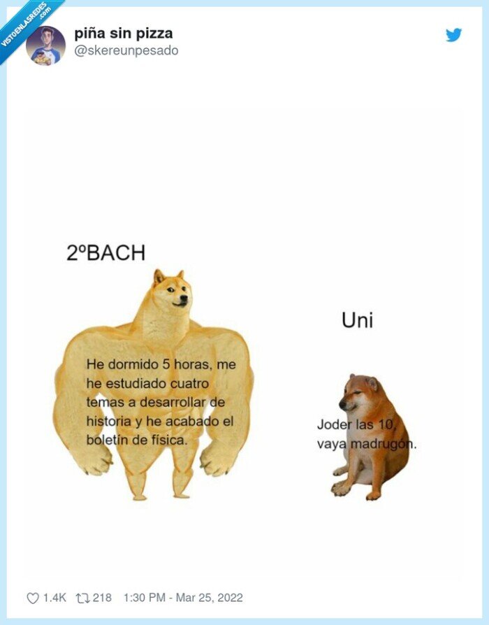 cheems,doge,bachillerato,universidad