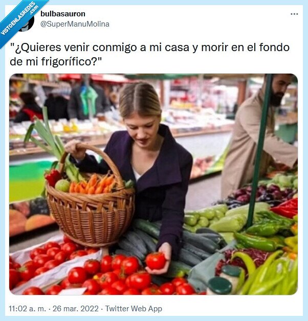 fondo,frigorífico,saludable