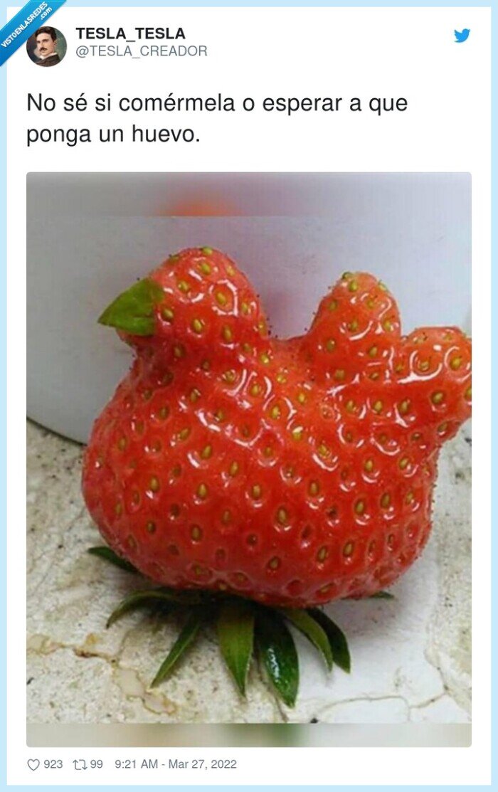 comer,esperar,poner,fresa,gallina,forma,huevo