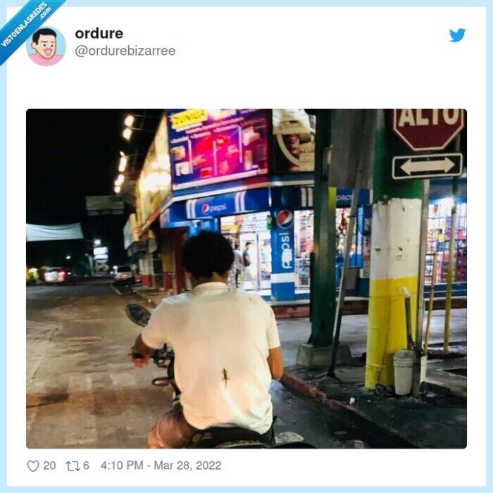 lagartija,espalda,camiseta,moto