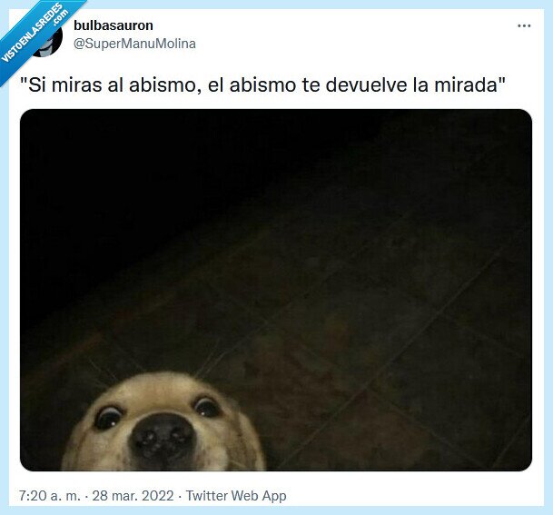 abismo,devolver,mirada,perrete