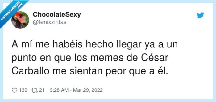 césar carballo,memes,cansinos