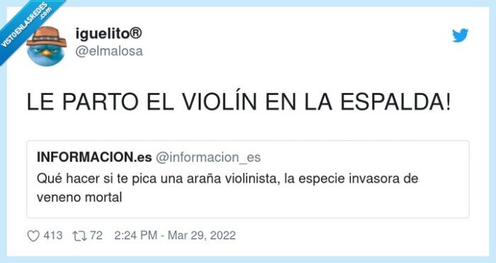 espalda,violín,araña violinista