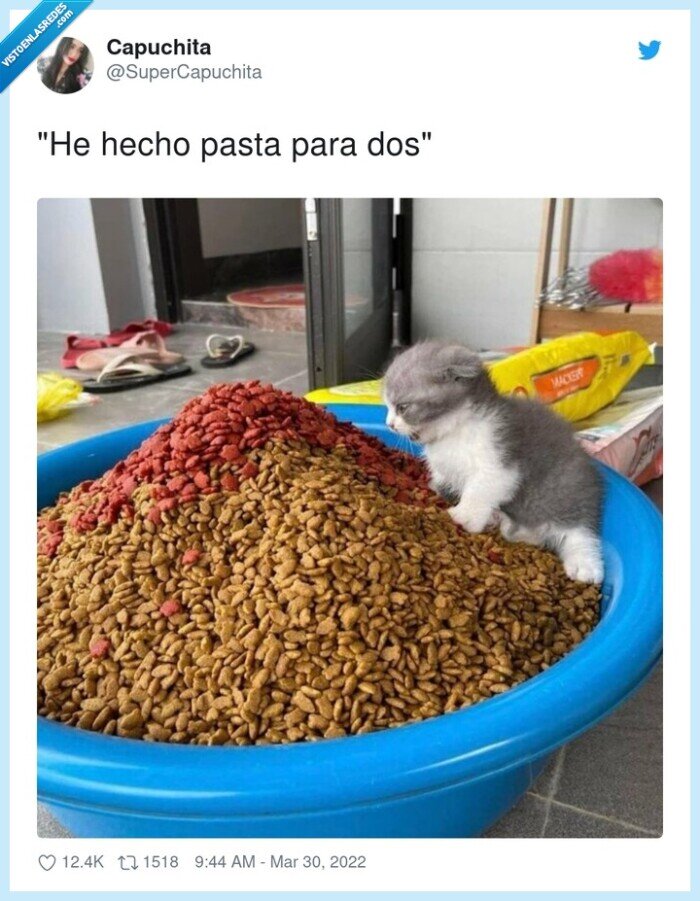 comida,cocinar,mucha,cantidad