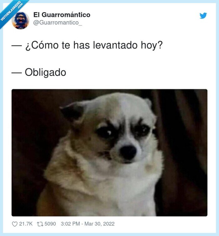 levantarse,obligado