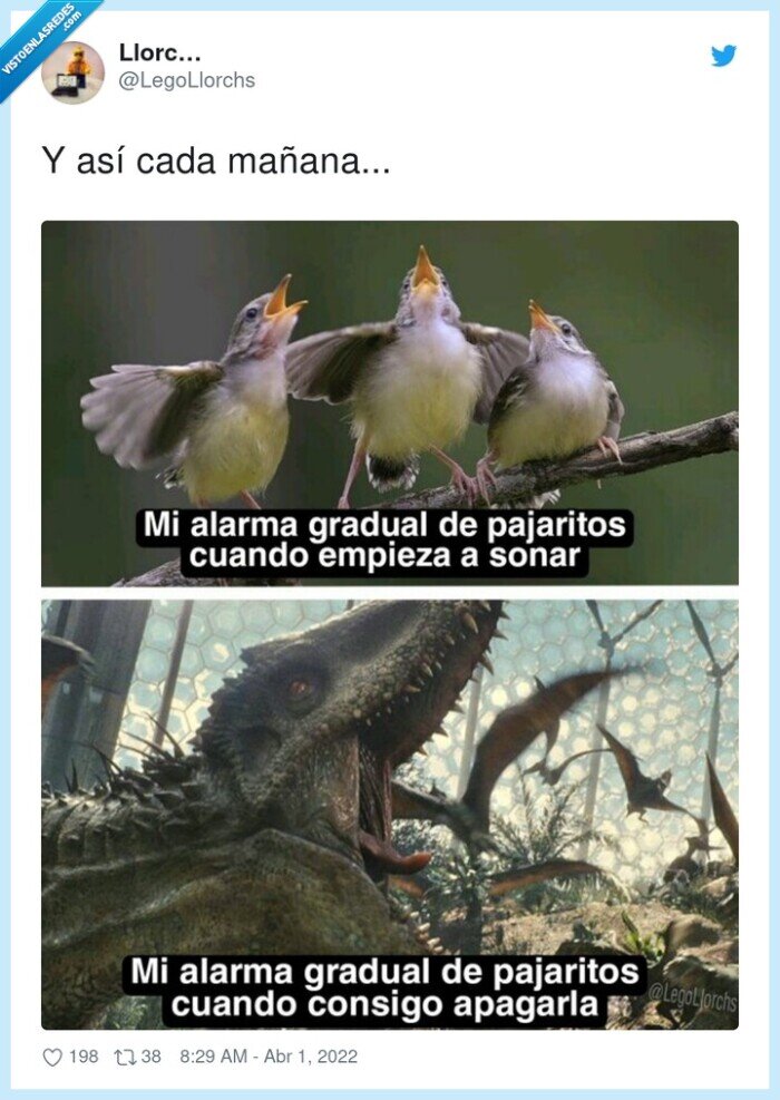 odiar,alarma,pajaritos,dinosaurios