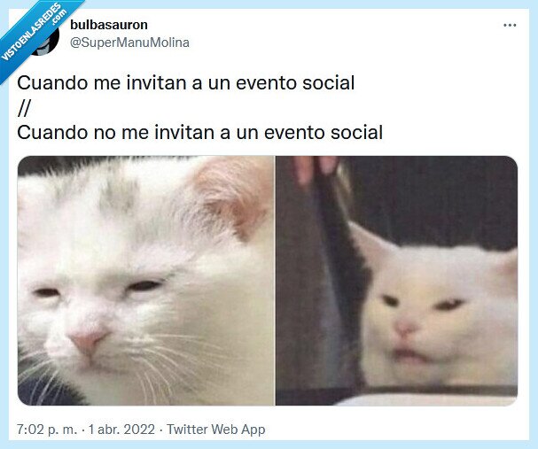 evento social,ir,invitar