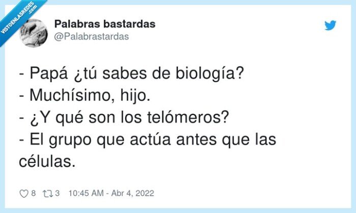 muchísimo,telómeros,biología,células,actuar,teloneros