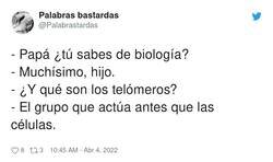Enlace a Los telómeros, por @Palabrastardas