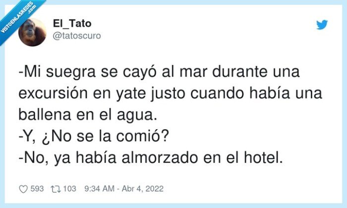 excursión,almorzado,ballena,suegra