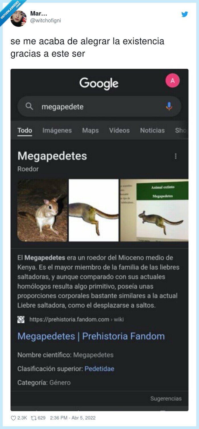 existencia,alegrar,gracias,megapedetes,ser