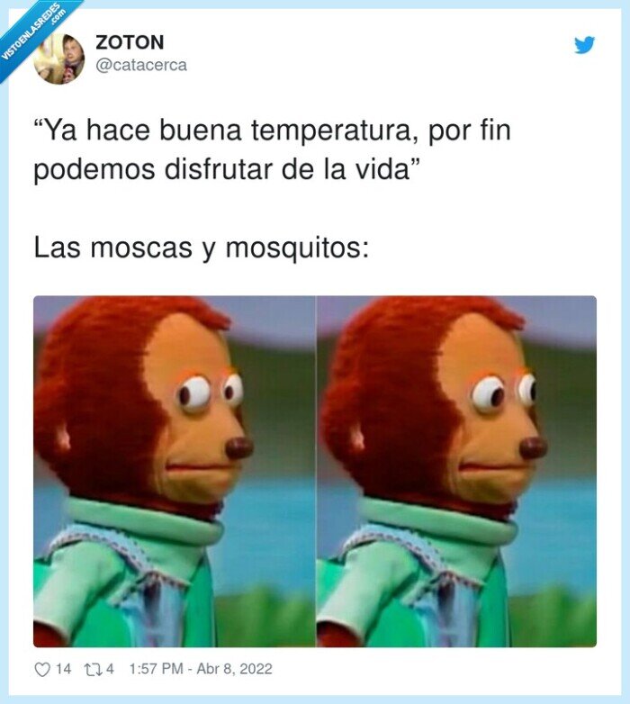 temperatura,disfrutar,mosquitos,moscas