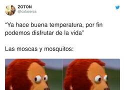 Enlace a Brace yourselves, por @catacerca