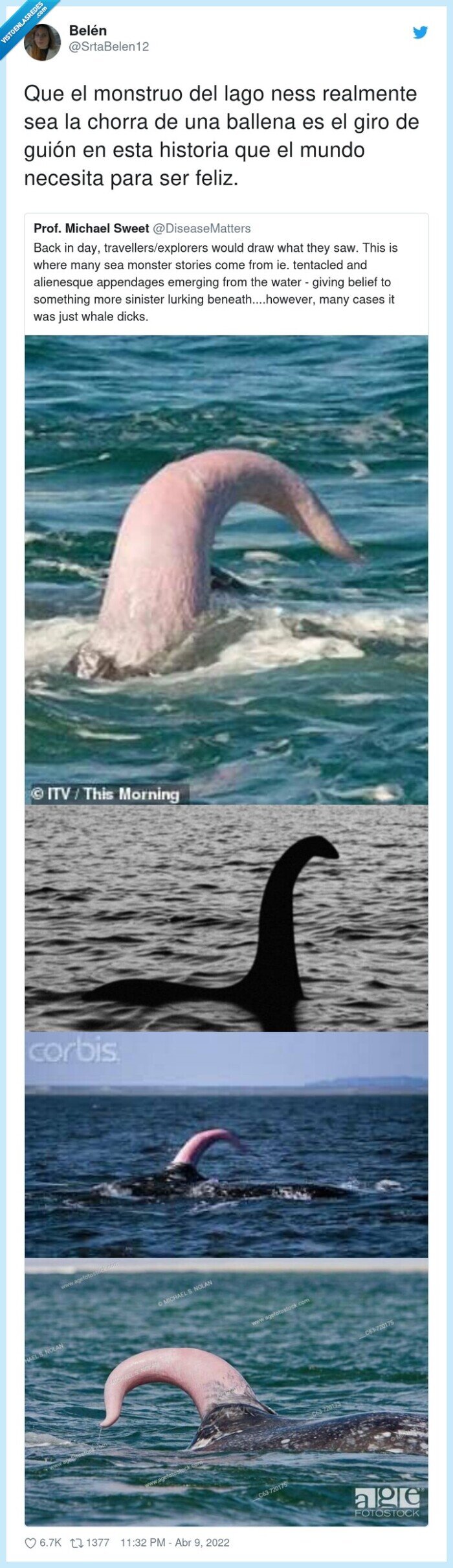 miembro,chorra,monstruo,ballena