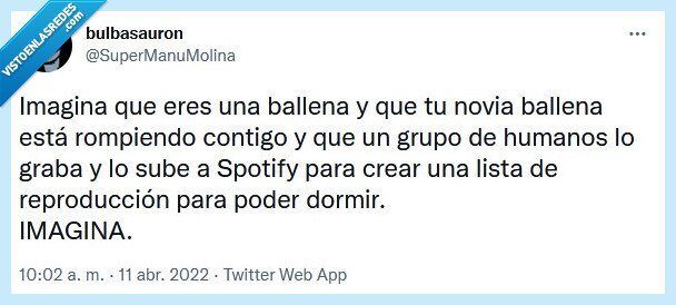 ballena,spotify,dormir,novia