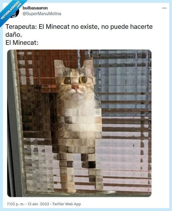 minecat,minecraft,gato,terapetua