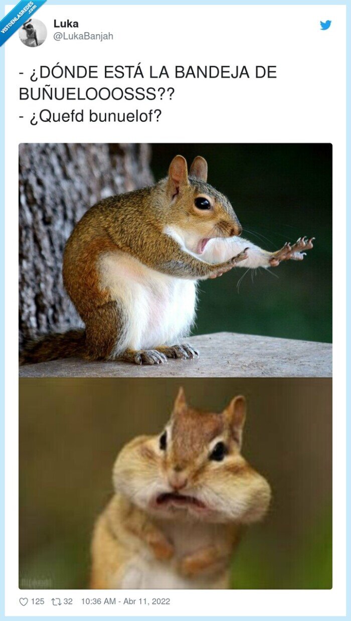 buñuelooosss,bunuelof,bandeja,buñuelos,ardilla