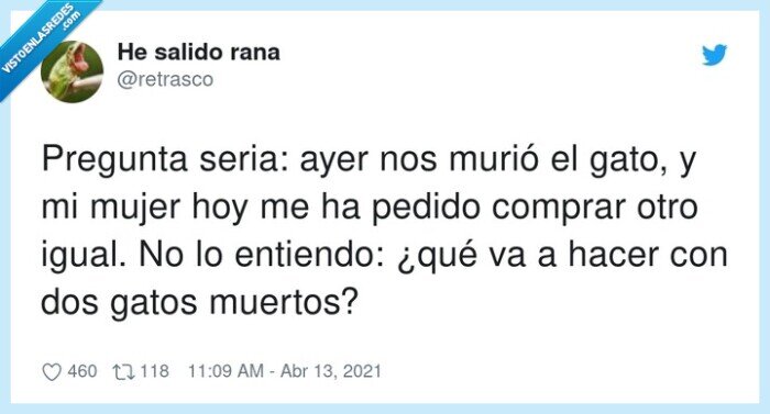 pregunta,comprar,gato muerto