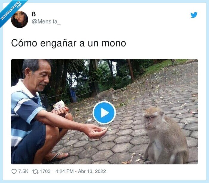 engañar,mono,play,clic,fake