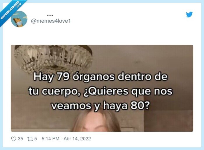 órganos,dentro,cuerpo humano